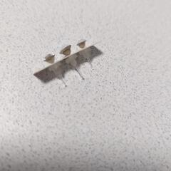 ピアス3つセットの画像