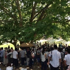 5/5(月・祝)大阪70名アウトドアBBQパーティイベント…