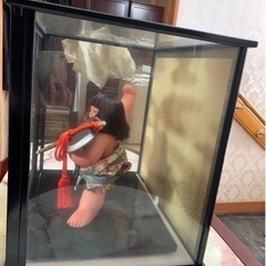 金太郎人形　五月人形の画像