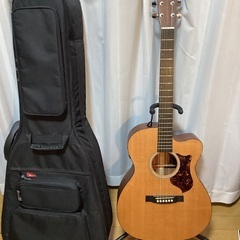 Martin マーチンのエレアコ OMCPA4 の画像