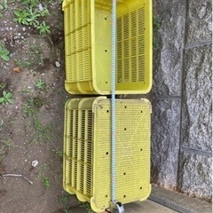 網目コンテナ　収穫用コンテナ　みかんカゴ
