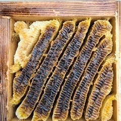 手作りニホンミツバチ蜜蝋の画像