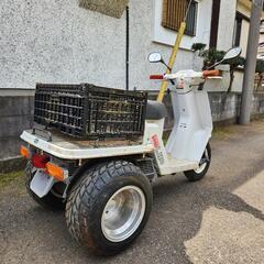 ホンダ　ジャイロUP　極太タイヤ　ミニカー登録　バッテリー新品　千葉県流山市よりの画像