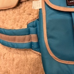 子供用シートベルトの画像