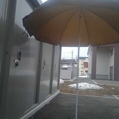Umbrella 