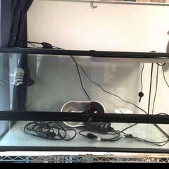 爬虫類　水槽　90㎝
