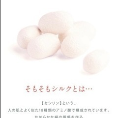 お買得！　セフィーヌ　シルクウェットパウダー ハーフサイズ ×2個　新品未使用の画像