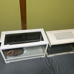 未開封 unlucky morpheus あんきものピロピロディスク