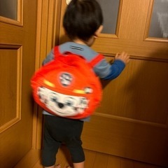 【決まりました】パウパトロール　リュックの画像