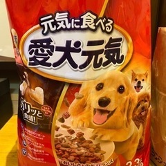 ドッグフード2.3kg