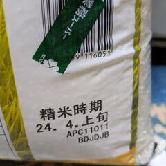 お米、カレーの画像