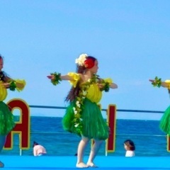 フラダンス西神中央クラス新規スタートメンバー募集の画像