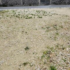 空き地貸します(用途 相談可) − 沖縄県