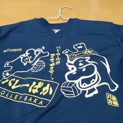 服/ファッション Tシャツの画像