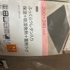 【取引決定】200×240 ふっくらウレタン入り　ラグ