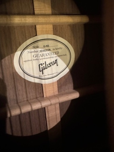 Gibson G-45