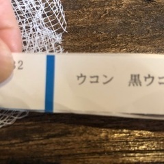 黒ウコン　種芋　　　　　　　　の画像