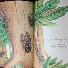 昆虫➖ちいさななかまたち（福音館）