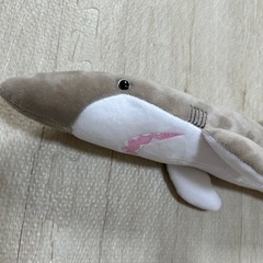 【値下げ】子ども　サメ　おもちゃ　ぬいぐるみ　音が鳴るの画像