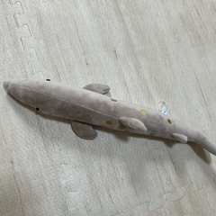 【値下げ】子ども　サメ　おもちゃ　ぬいぐるみ　音が鳴るの画像