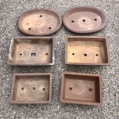 盆栽鉢　まとめての画像