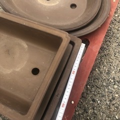 盆栽鉢　まとめての画像