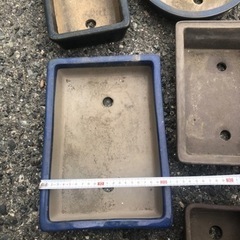 盆栽鉢　8鉢まとめての画像