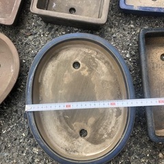 盆栽鉢　8鉢まとめての画像