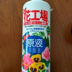 花工場