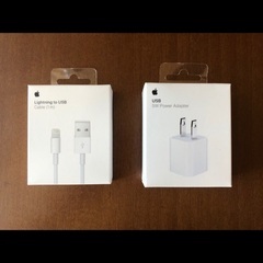 Apple Lightning ケーブル1m&5W USBアダプター