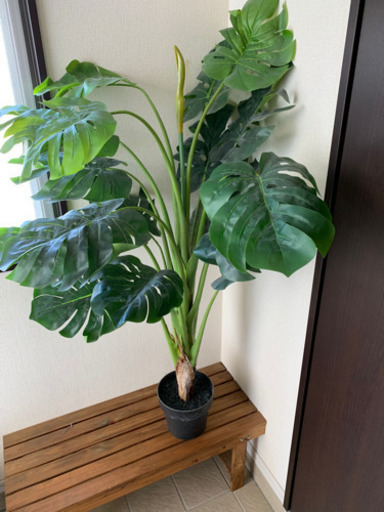 モンステラ(造花)