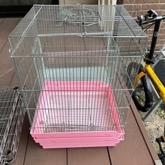バードケージ