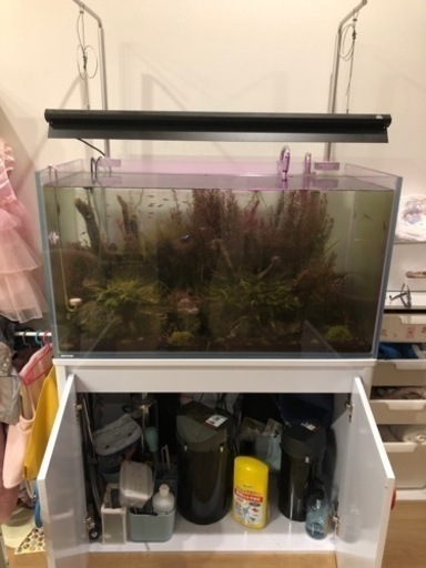 レグラス950 90×45×50 水槽台セット