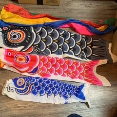 こいのぼり　鯉のぼりの画像