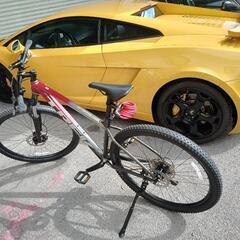 TREK Marlin 6 2022年　本日引き渡し限定　
