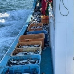 【急募】定置網乗組員