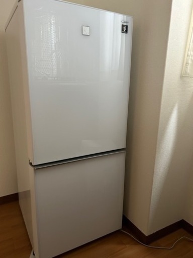 家電 キッチン家電 冷蔵庫
