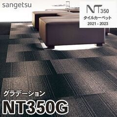 9枚+カット済み20枚以上 NT350G [グラデーション] サ...