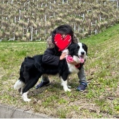 北陸で中型犬・大型犬を飼っている方、情報共有しませんか？💡 - 友達