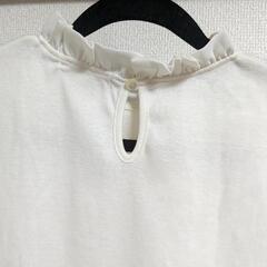 ノースリーカットソーの画像