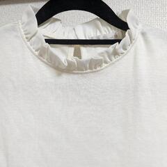 ノースリーカットソーの画像