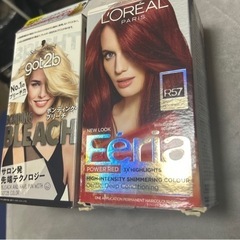 got2b ボンディングブリーチ　ロレアル　フェリア　R57 2...