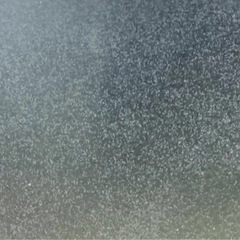 ゾウリムシの画像