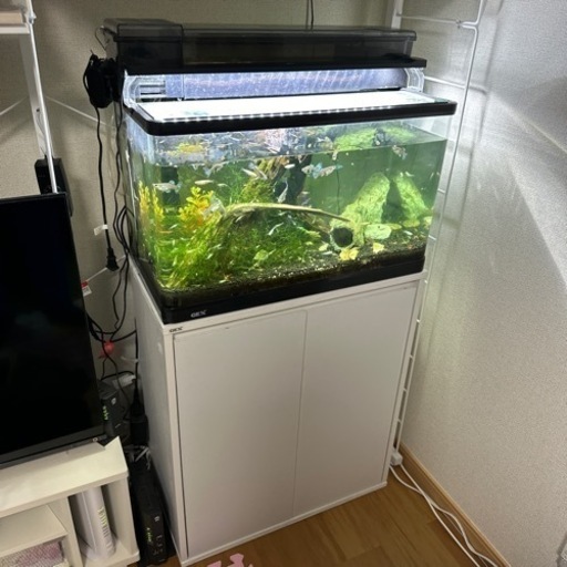 【値下げ・追記】GEX  水槽＆水槽台 メダカ、グッピー、レッドシュリンプ、コリドラス、その他フルセット
