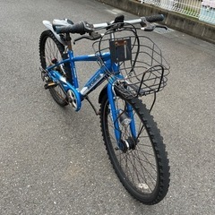 自転車 