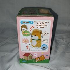 【決まりました】まねまね わんこの画像