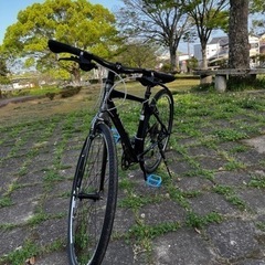 トレック　
クロスバイクの画像