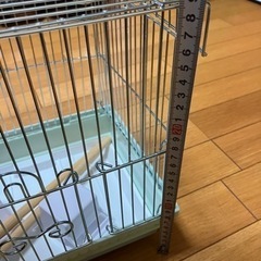 小鳥のケージの画像