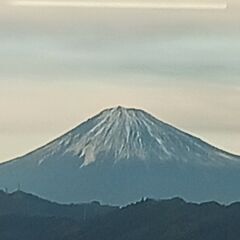 ボランティア募集