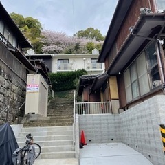 女性専用ソーシャルアパートメントコミュニティの住人を募集します🏠 - 不動産